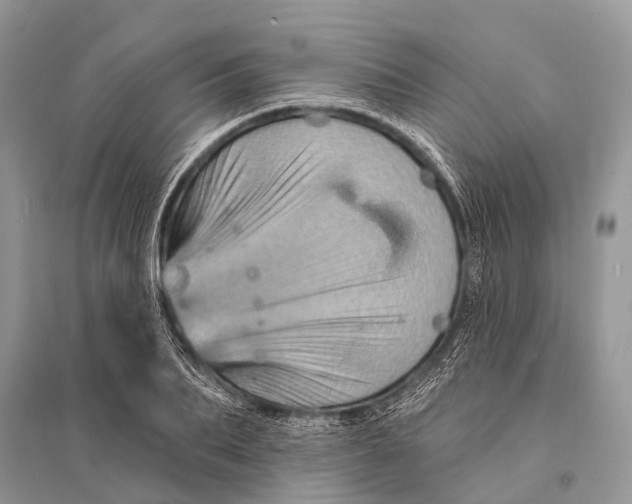 X0000094900887200712201132