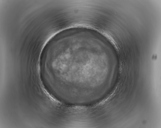 X0000094900888200712201132