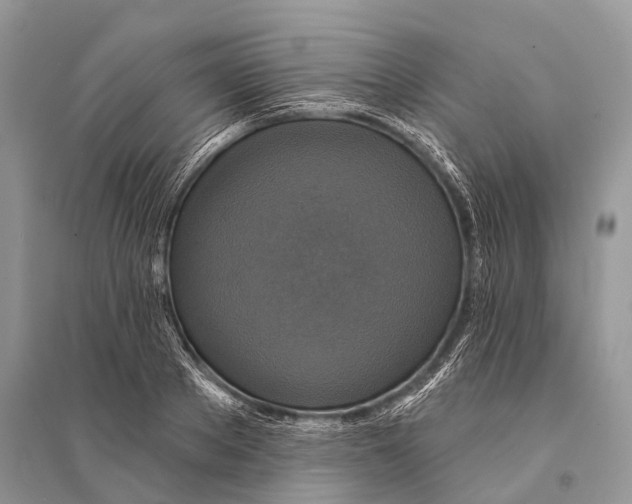 X0000094900889200712201132