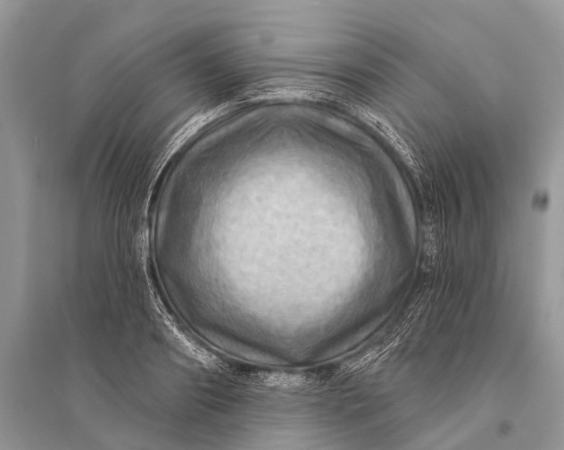 X0000094900890200712201132