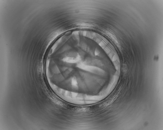 X0000094900891200712201132