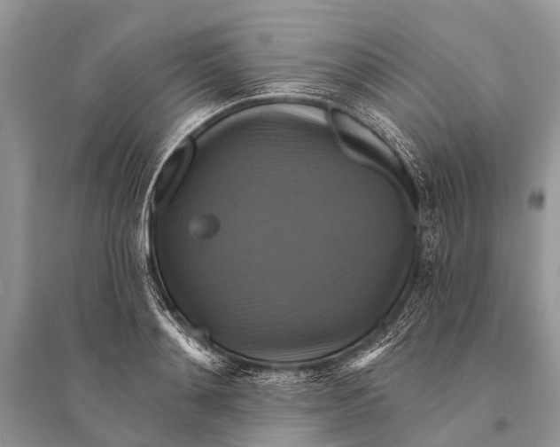 X0000094900892200712201132