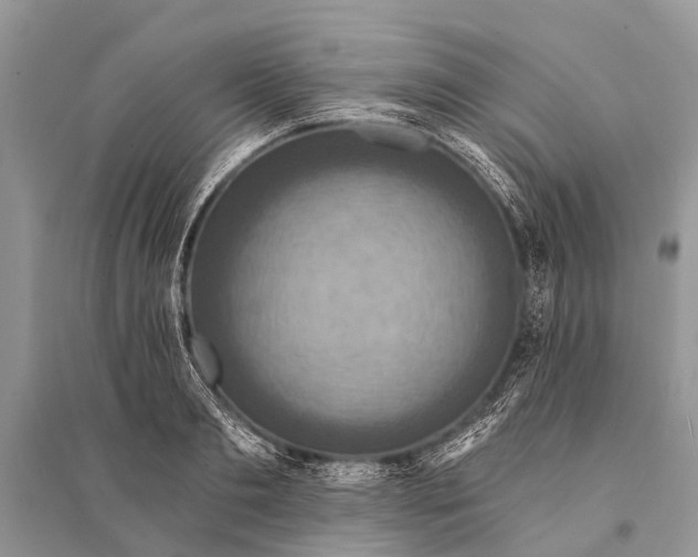 X0000094900893200712201132