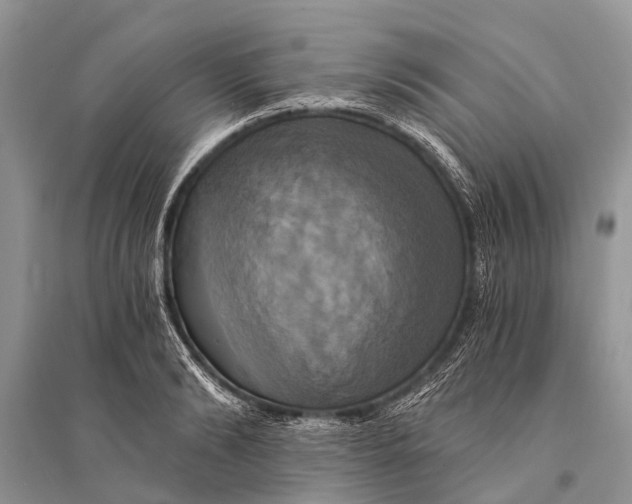 X0000094900894200712201132