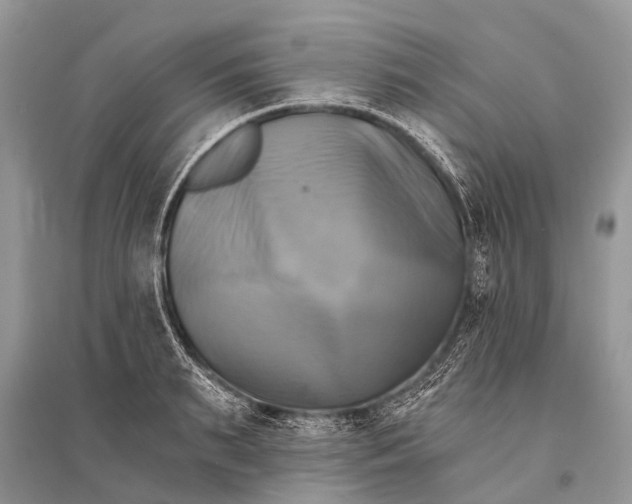 X0000094900895200712201132