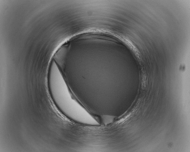 X0000094900896200712201132