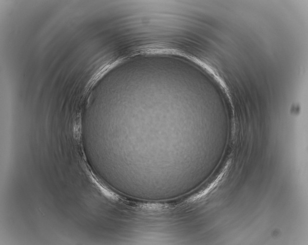 X0000094900897200712201132