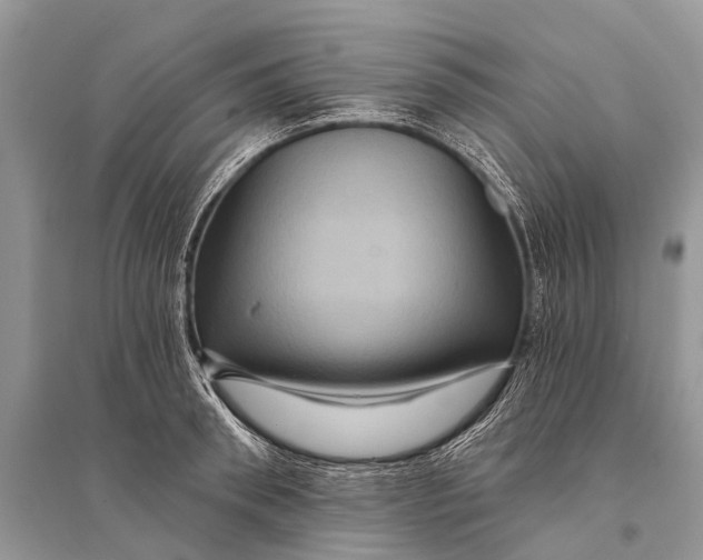 X0000094900898200712201132