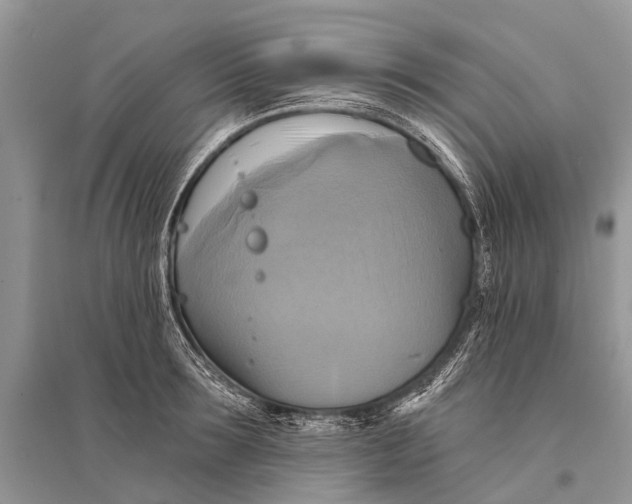 X0000094900899200712201132