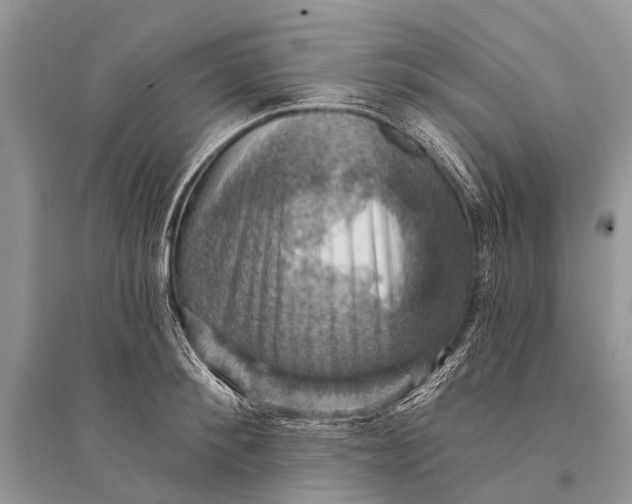 X0000094900900200712201132