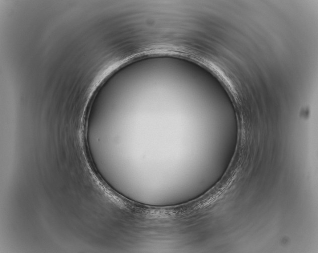 X0000094900901200712201132