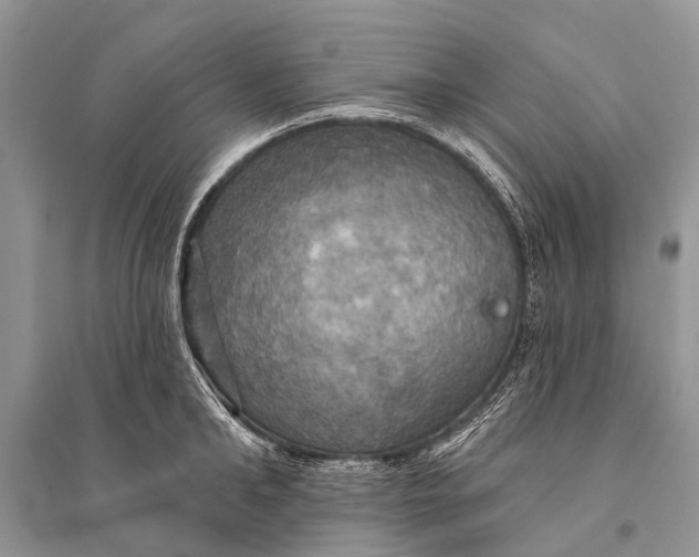 X0000094900902200712201132