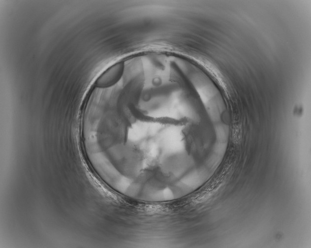 X0000094900903200712201132