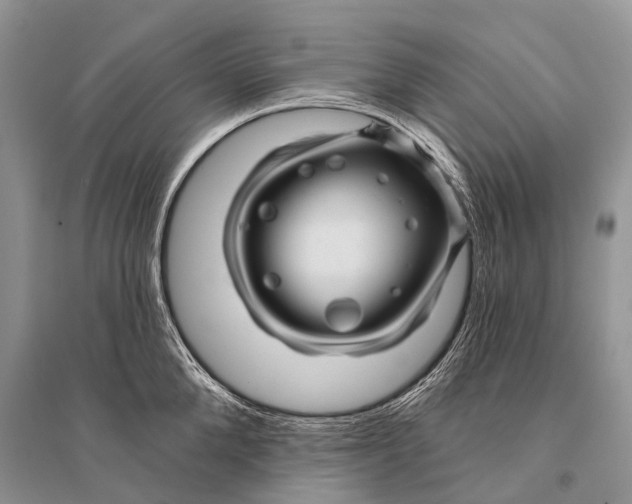 X0000094900904200712201132