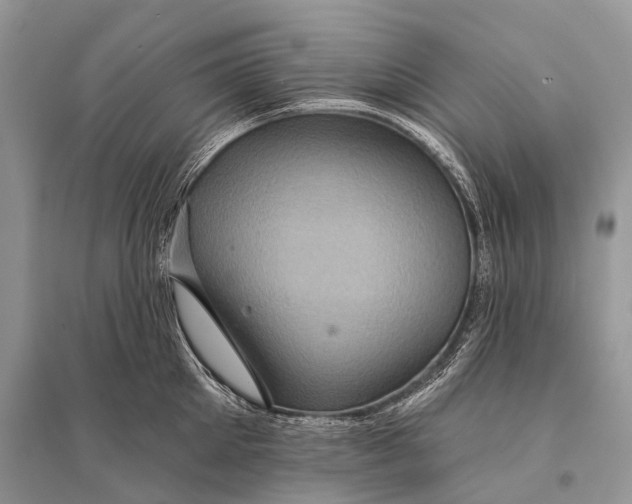 X0000094900905200712201132