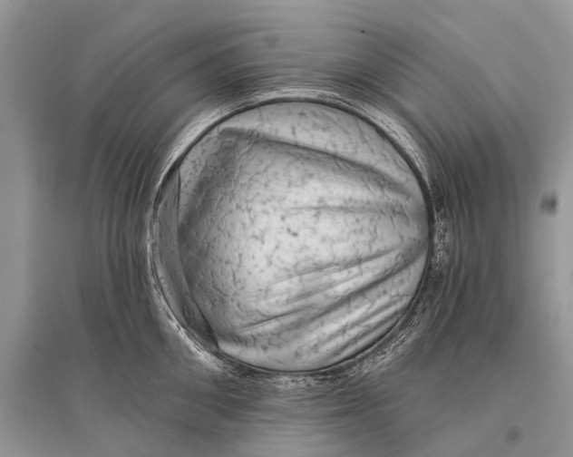 X0000094900906200712201132