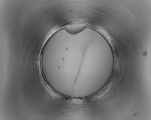 X0000094900907200712201132