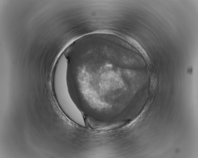 X0000094900908200712201132