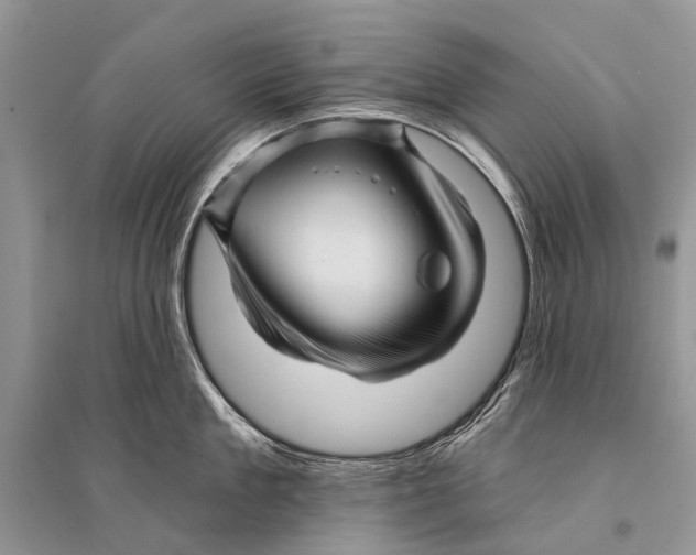 X0000094900909200712201131