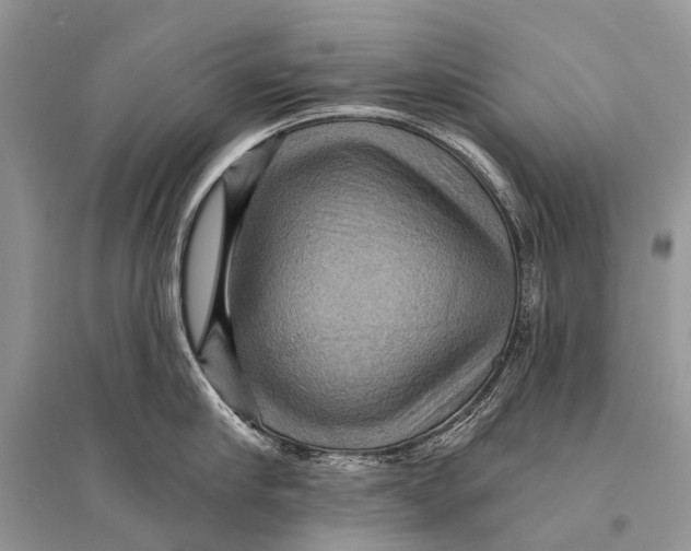 X0000094900910200712201131