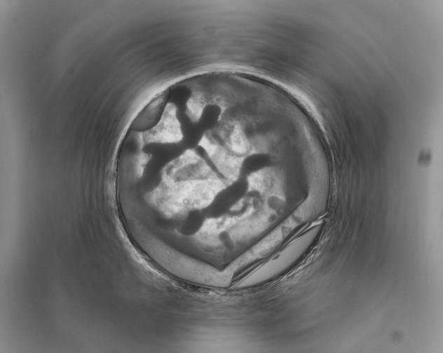 X0000094900911200712201131