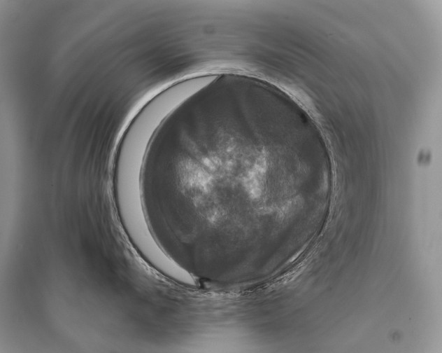 X0000094900912200712201131