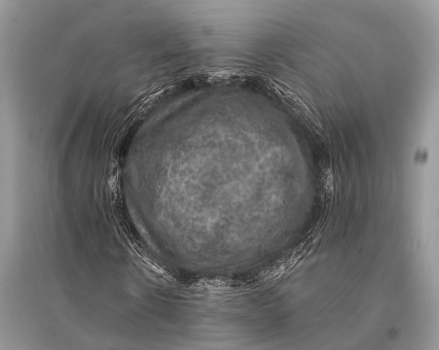 X0000094900914200712201131