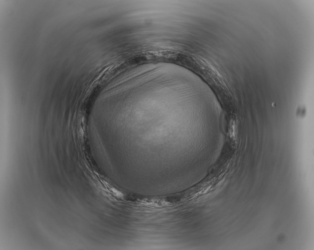 X0000094900915200712201131