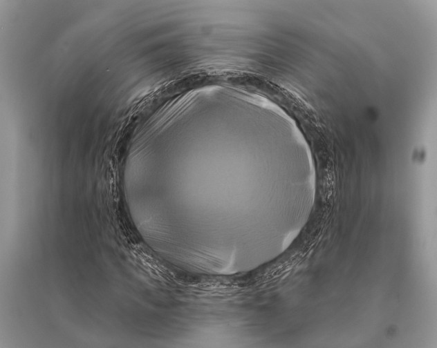 X0000094900917200712201131