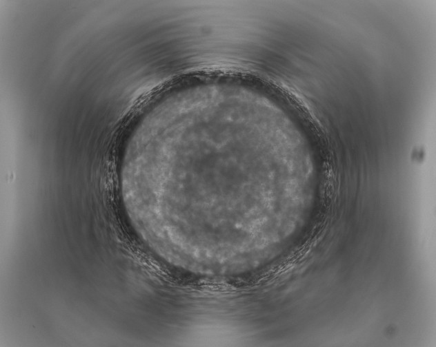 X0000094900918200712201131