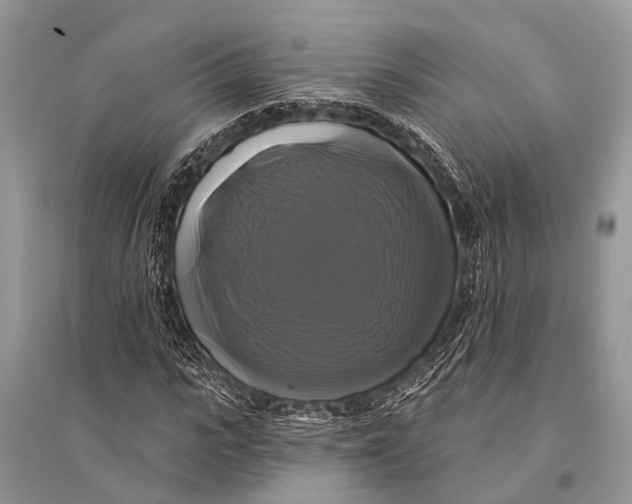 X0000094900919200712201131