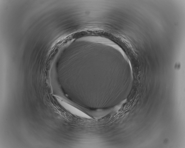 X0000094900920200712201131