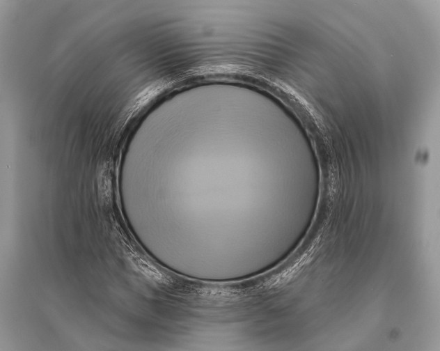 X0000094900921200712201131