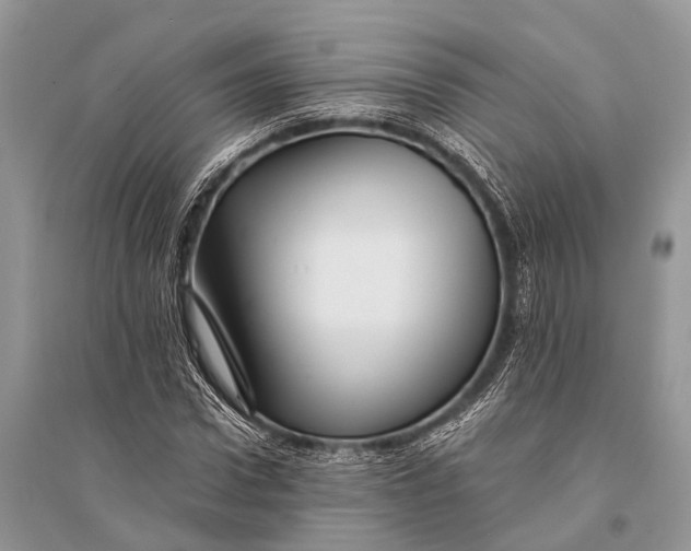 X0000094900922200712201131