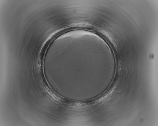 X0000094900923200712201131