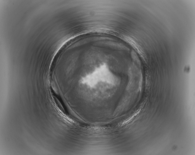 X0000094900924200712201131