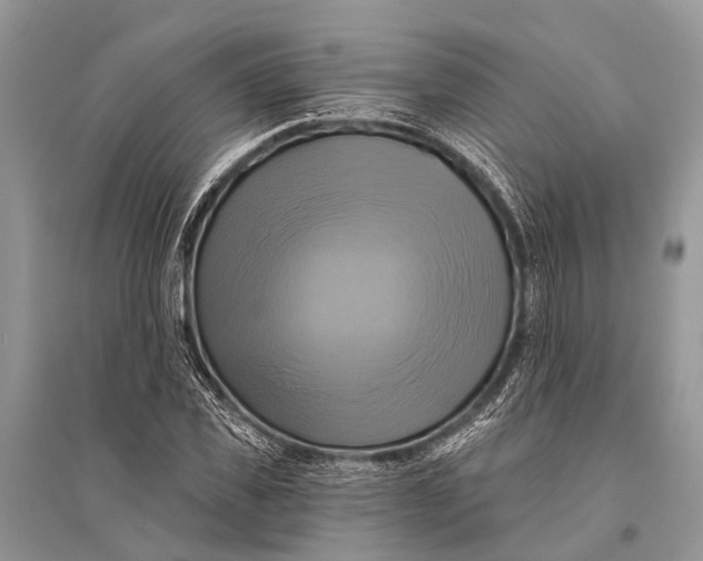 X0000094900925200712201131