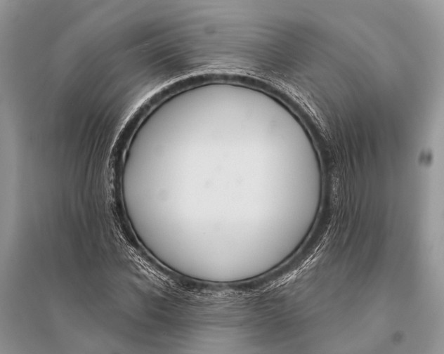 X0000094900926200712201131