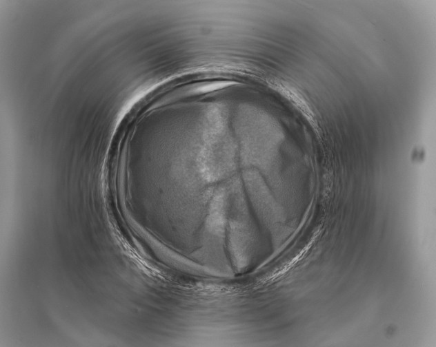 X0000094900928200712201131