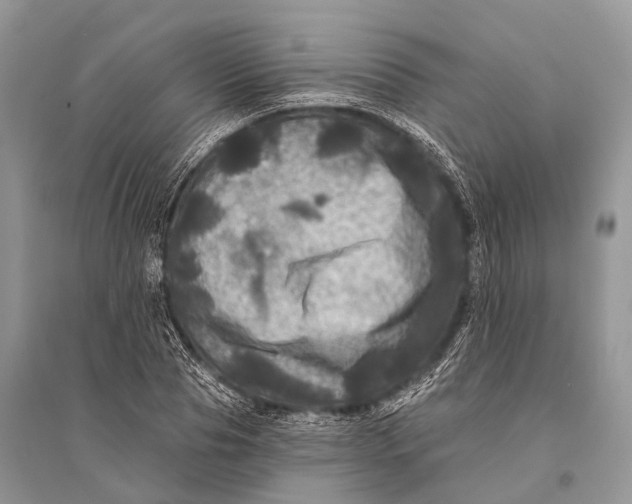 X0000094900929200712201131