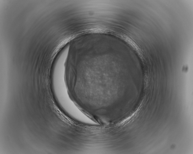 X0000094900930200712201131