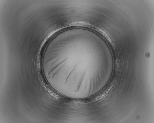 X0000094900931200712201131