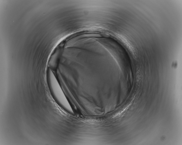 X0000094900932200712201131