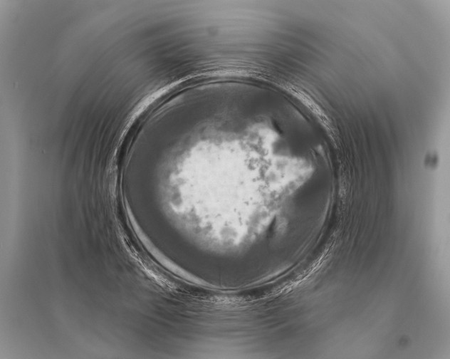 X0000094900933200712201131