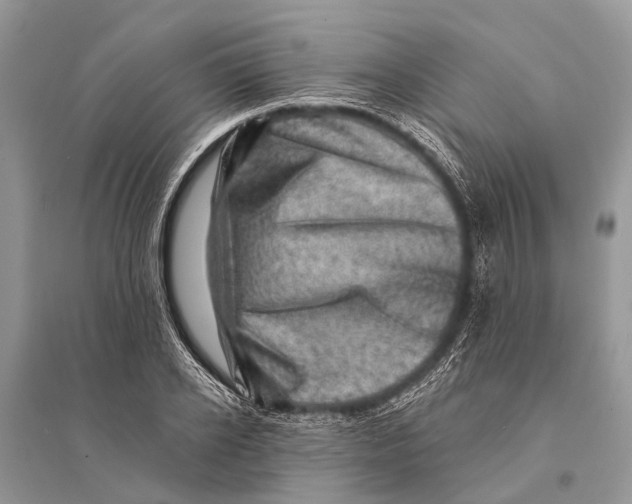 X0000094900934200712201131