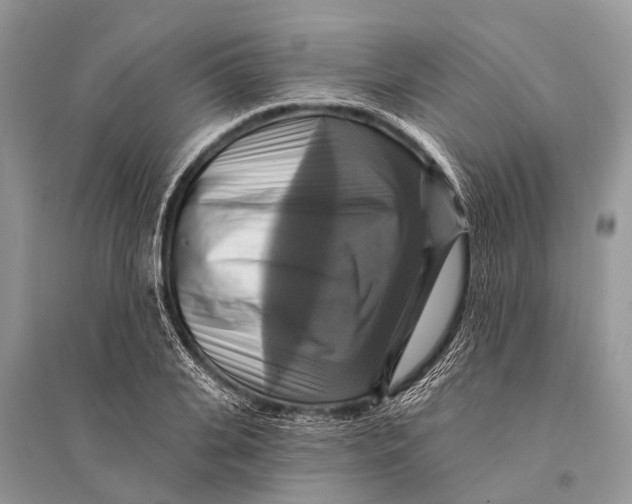 X0000094900935200712201131