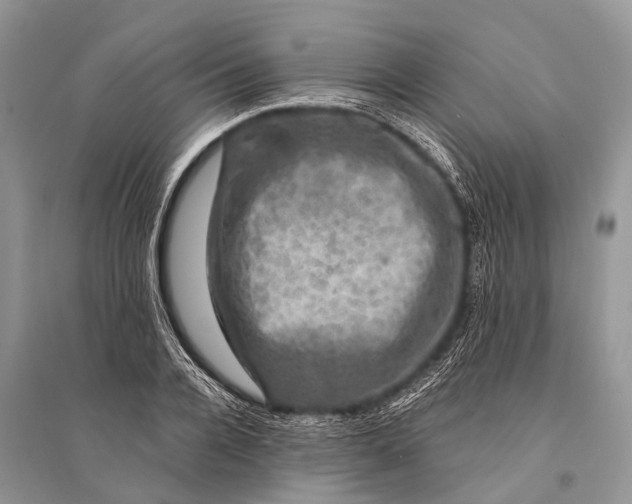 X0000094900936200712201131