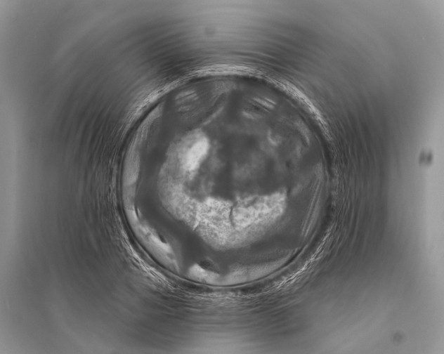 X0000094900937200712201131