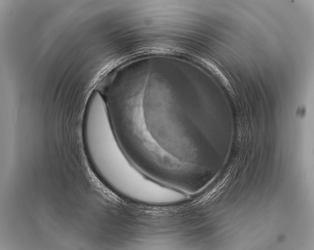 X0000094900938200712201131