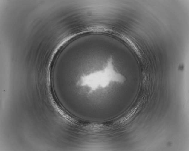 X0000094900939200712201131